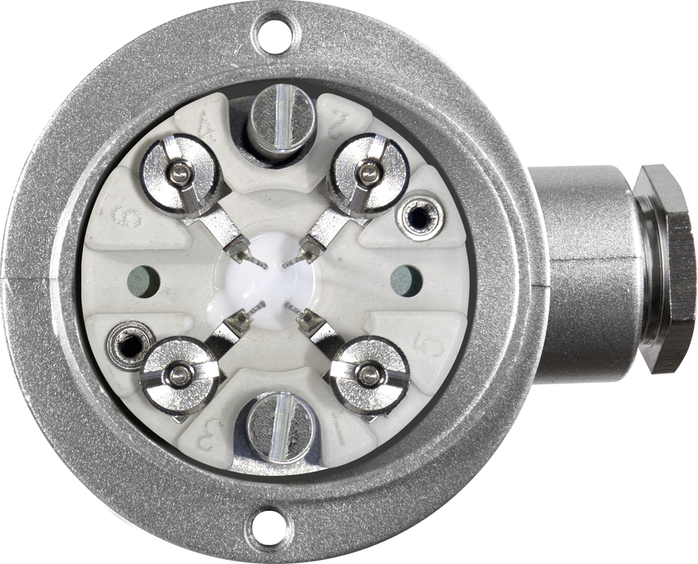 THERMASGARD® RGTF2 Pt1000 200/80mm Q